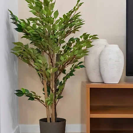 Appartement Cozy Center In Funchal (Madeira)