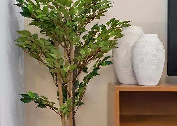 公寓 Cozy Center In 丰沙尔